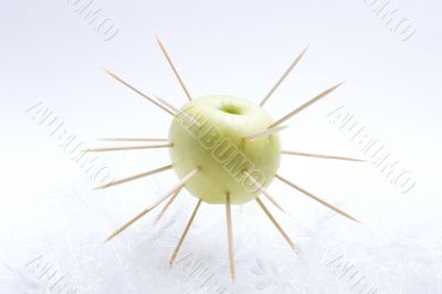 The isolated apple covered with thorns
