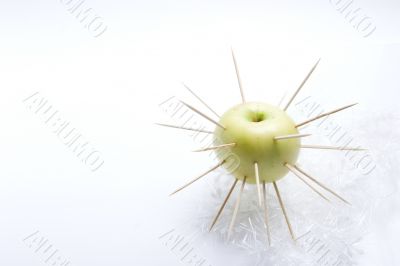 The isolated apple
