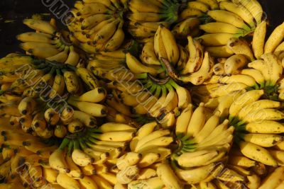 banana fruit for sale