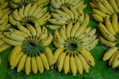 banana fruit for sale