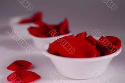 Rose petals spa aromatherapy