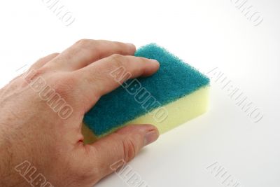 Sponge