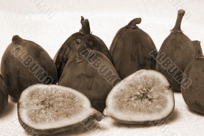 Fig fruit sepia