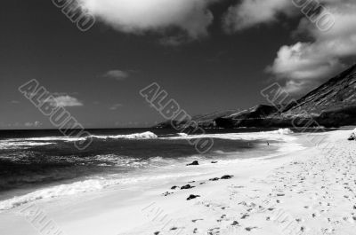 Sandy Beach Honolulu Hawaii sepia