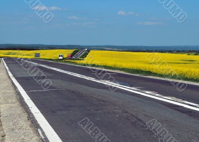 Yellow Field