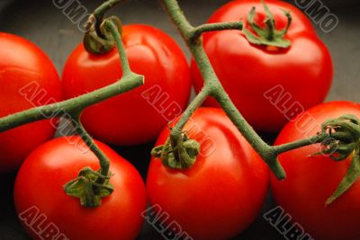 Tomatoes