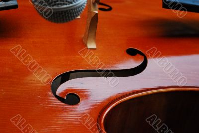 Violin