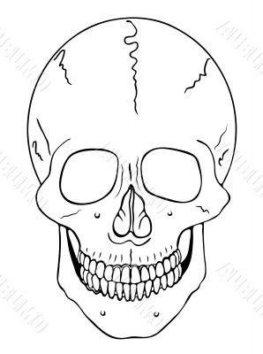 smiling skull - vector