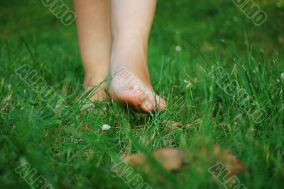 Feet in the grass