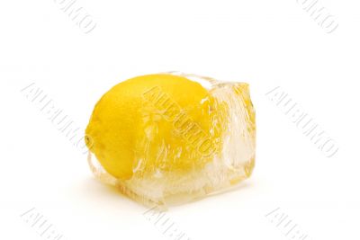 Lemon in Ice