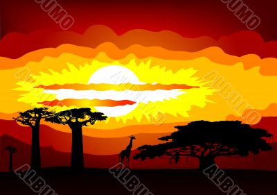 Africa sunset - vector