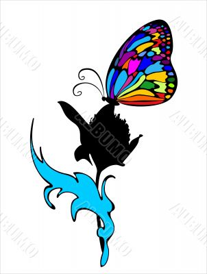 butterfly