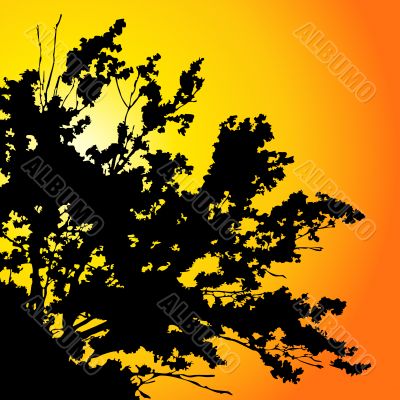 tree silhouette