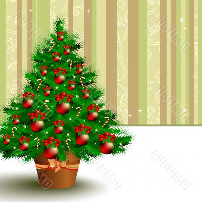  christmas fir