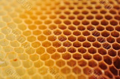 bee wax clay