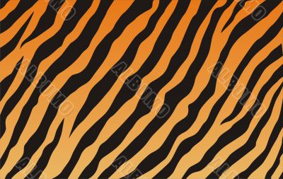 tiger texture