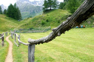 Wooden fence closeup