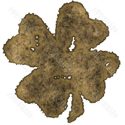 Shamrock burnt parchment