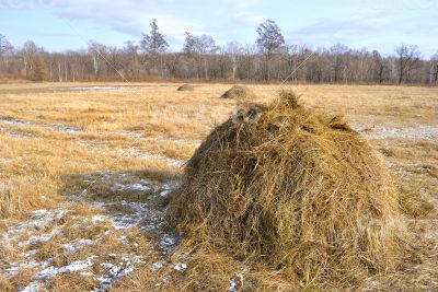 Haystack