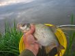 Man holding a fish