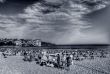 Bondi Beach, Sydney, Australia