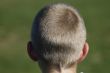 boy watching a soccer match