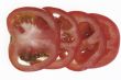 Sliced Tomato