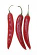 chillies