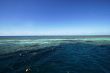 snorkeling at the great barrier reef