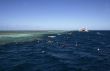 snorkeling at the great barrier reef