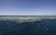 snorkeling at the great barrier reef