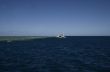 snorkeling at the great barrier reef