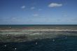 snorkeling at the great barrier reef