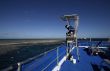 snorkeling at the great barrier reef