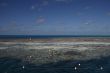 snorkeling at the great barrier reef