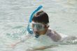 snorkeling at the great barrier reef