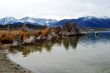 Mono Lake Landscape