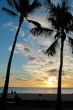 Palm Trees at Sunset