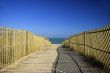 Path to the Beach