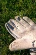 Old soccer glove