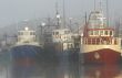 Boat Harbor at Lakes Entrance