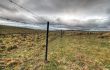  Australian Livestock Fence