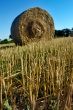 Hay field