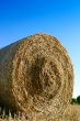 Hay bale closeup