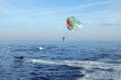 Parasailing Parachute