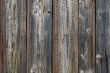 wood - texture