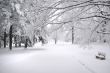 Park Bench in Winter