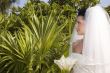 Caribbean Beach Wedding