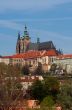 Cathedral of St Vitus