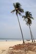 Goa Beaches Colva